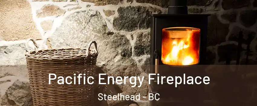  Pacific Energy Fireplace Steelhead - BC