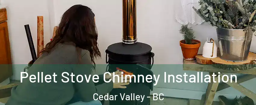  Pellet Stove Chimney Installation Cedar Valley - BC