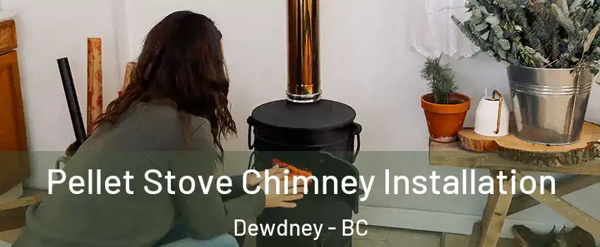 Pellet Stove Chimney Installation Dewdney - BC