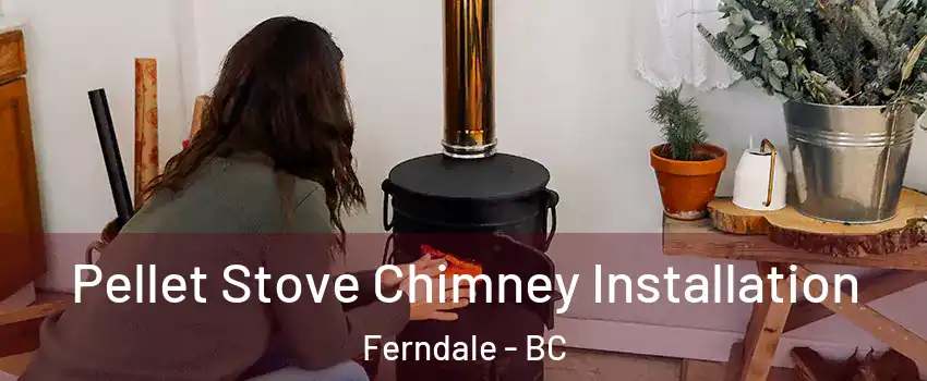  Pellet Stove Chimney Installation Ferndale - BC