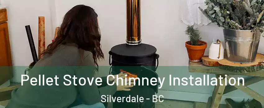  Pellet Stove Chimney Installation Silverdale - BC