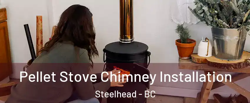  Pellet Stove Chimney Installation Steelhead - BC