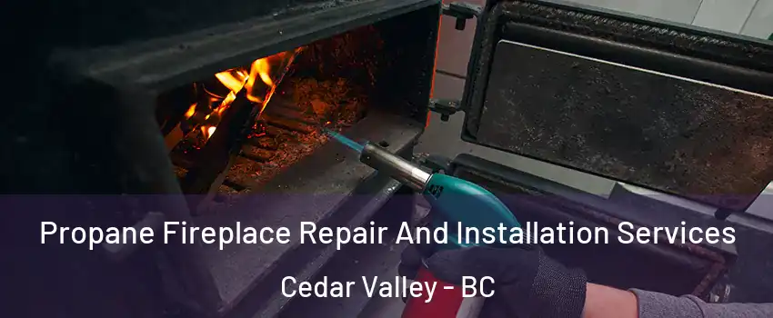 Propane Fireplace Repair And Installation Services Cedar Valley - BC