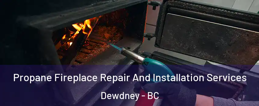 Propane Fireplace Repair And Installation Services Dewdney - BC