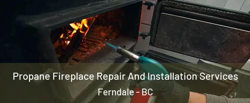 Propane Fireplace Repair And Installation Services Ferndale - BC