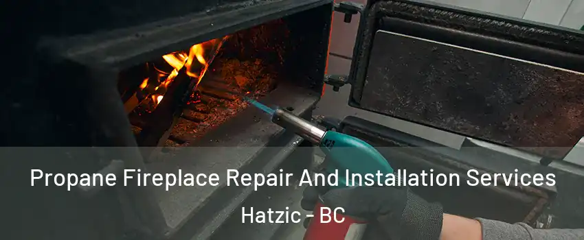 Propane Fireplace Repair And Installation Services Hatzic - BC