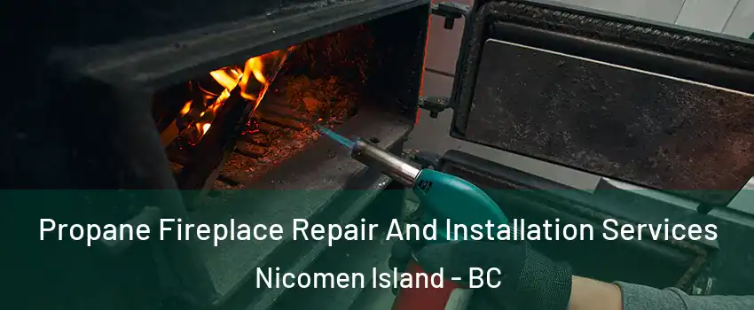  Propane Fireplace Repair And Installation Services Nicomen Island - BC