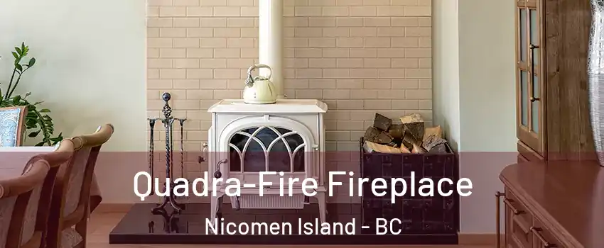  Quadra-Fire Fireplace Nicomen Island - BC
