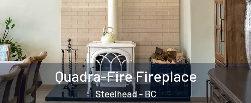  Quadra-Fire Fireplace Steelhead - BC