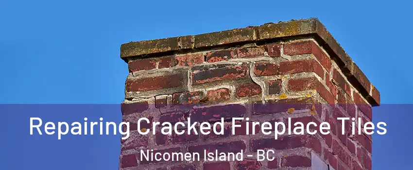  Repairing Cracked Fireplace Tiles Nicomen Island - BC