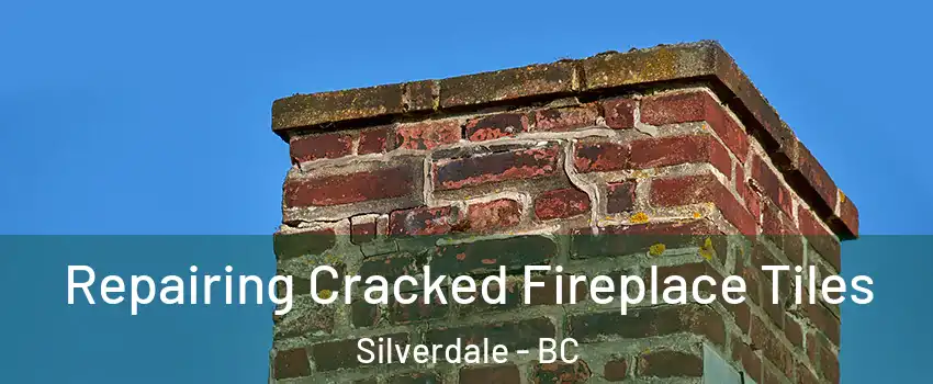  Repairing Cracked Fireplace Tiles Silverdale - BC