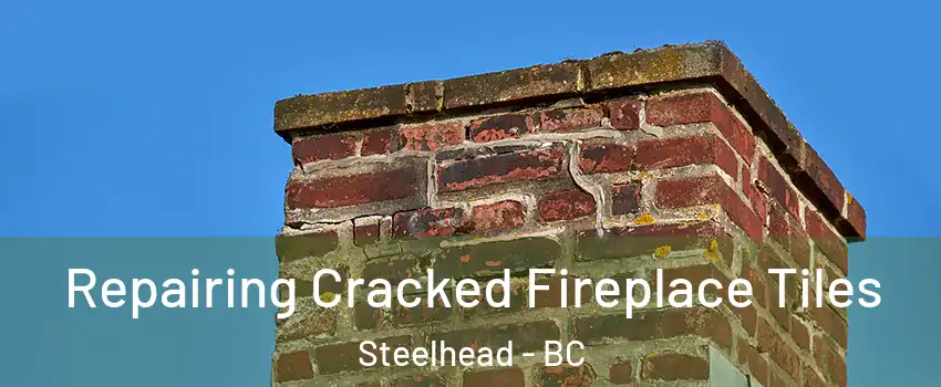  Repairing Cracked Fireplace Tiles Steelhead - BC