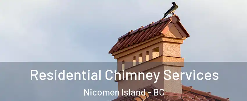  Residential Chimney Services Nicomen Island - BC