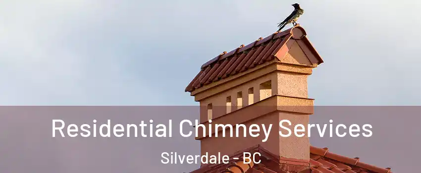 Residential Chimney Services Silverdale - BC