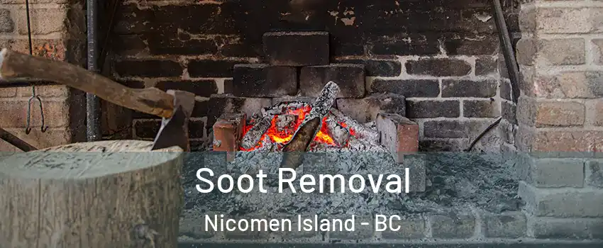  Soot Removal Nicomen Island - BC