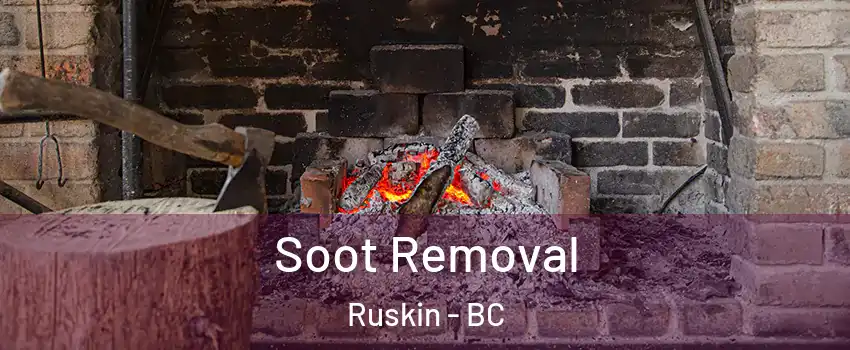  Soot Removal Ruskin - BC