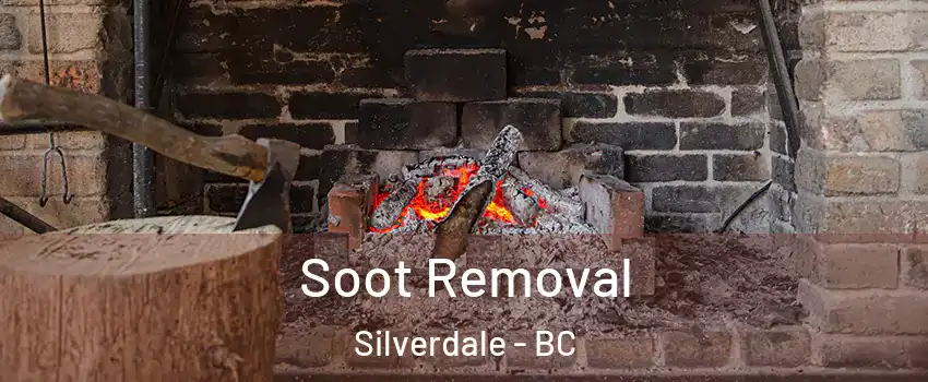  Soot Removal Silverdale - BC