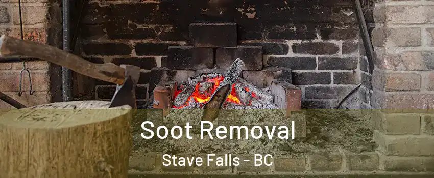  Soot Removal Stave Falls - BC