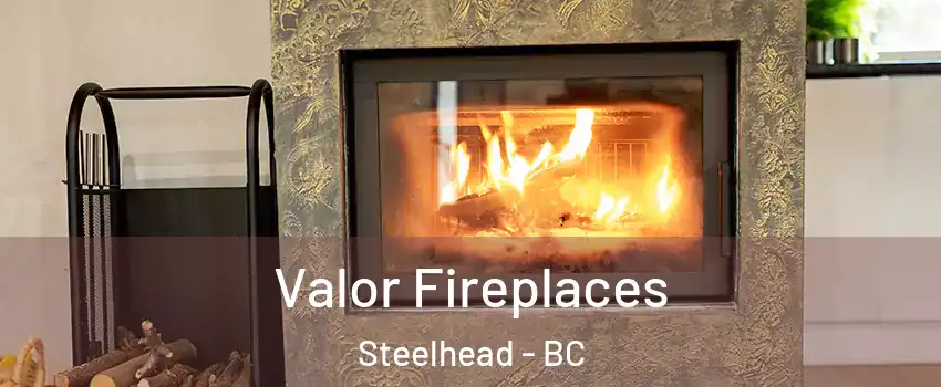  Valor Fireplaces Steelhead - BC