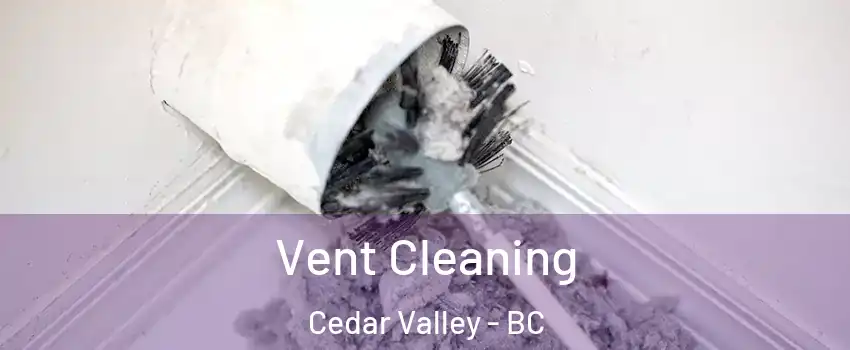  Vent Cleaning Cedar Valley - BC
