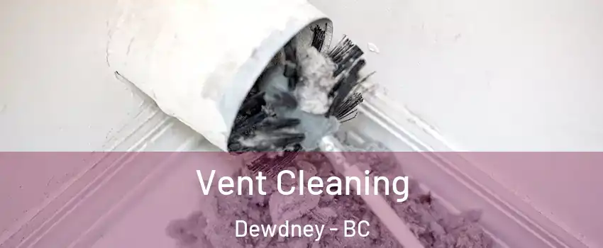  Vent Cleaning Dewdney - BC