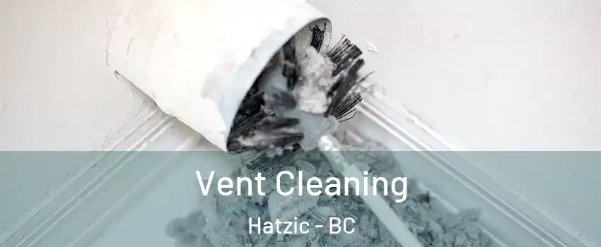  Vent Cleaning Hatzic - BC