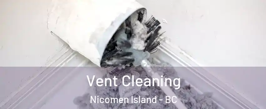  Vent Cleaning Nicomen Island - BC
