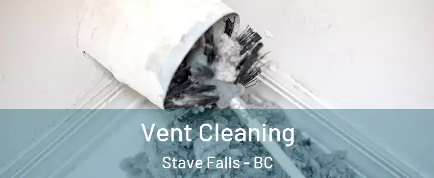  Vent Cleaning Stave Falls - BC