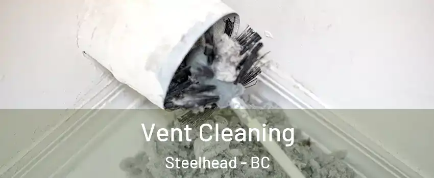  Vent Cleaning Steelhead - BC