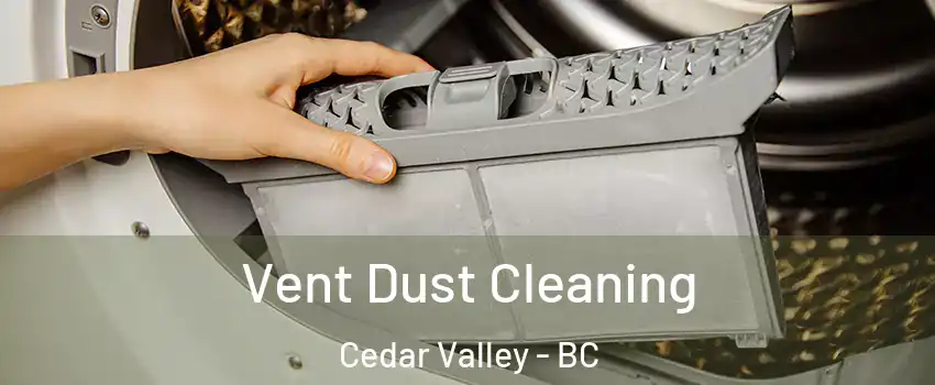  Vent Dust Cleaning Cedar Valley - BC