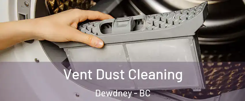  Vent Dust Cleaning Dewdney - BC