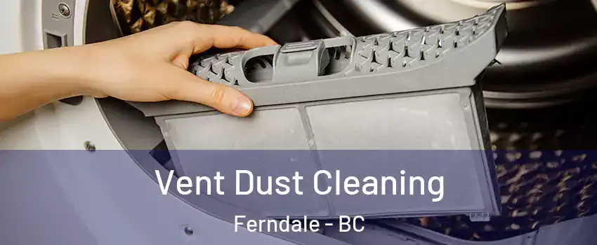  Vent Dust Cleaning Ferndale - BC