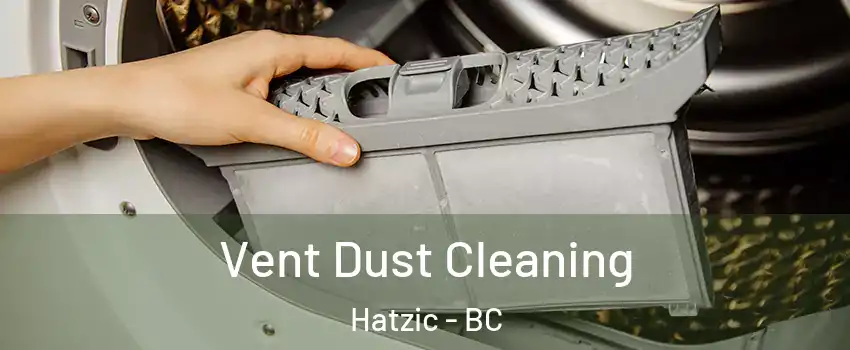 Vent Dust Cleaning Hatzic - BC