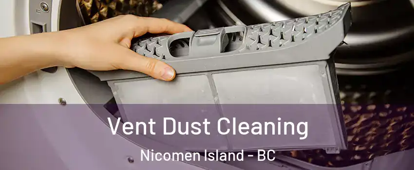  Vent Dust Cleaning Nicomen Island - BC