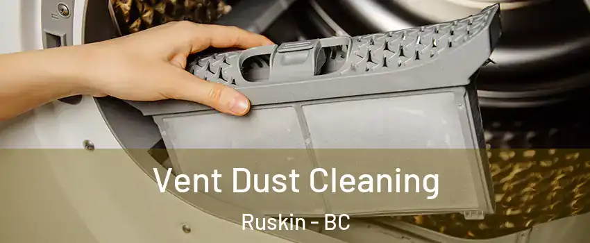  Vent Dust Cleaning Ruskin - BC