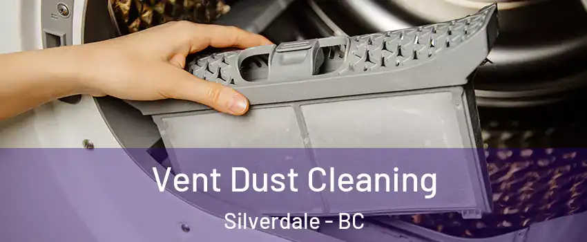  Vent Dust Cleaning Silverdale - BC
