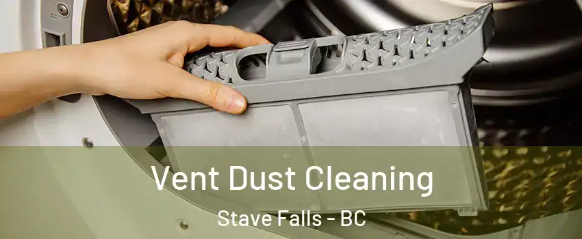  Vent Dust Cleaning Stave Falls - BC