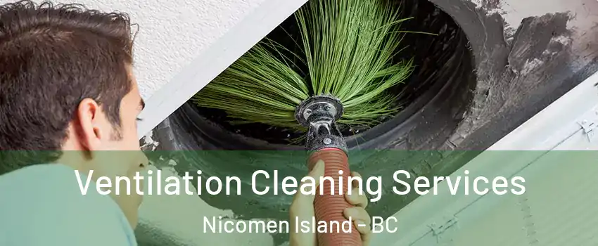 Ventilation Cleaning Services Nicomen Island - BC