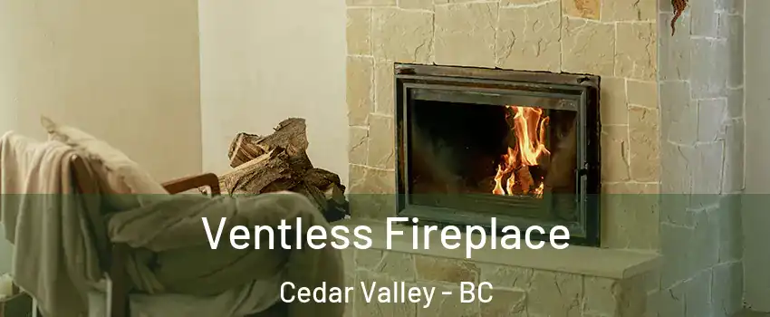  Ventless Fireplace Cedar Valley - BC