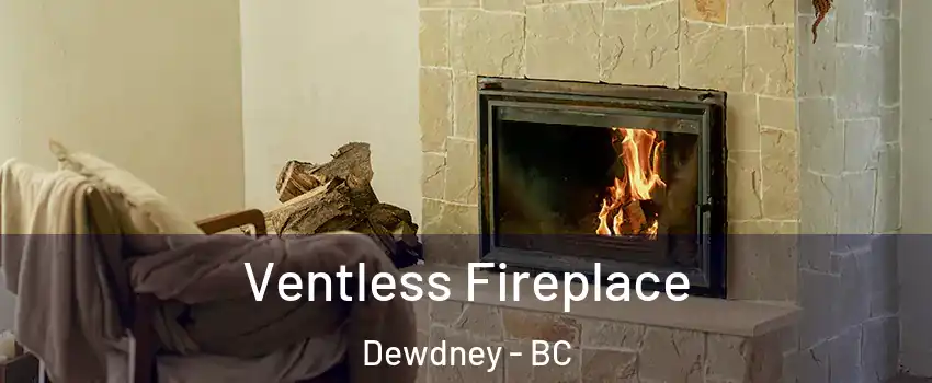  Ventless Fireplace Dewdney - BC