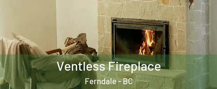  Ventless Fireplace Ferndale - BC