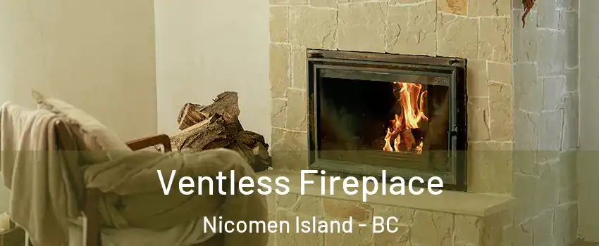  Ventless Fireplace Nicomen Island - BC