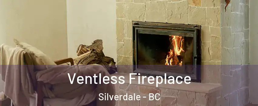  Ventless Fireplace Silverdale - BC