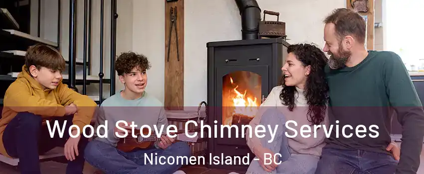  Wood Stove Chimney Services Nicomen Island - BC