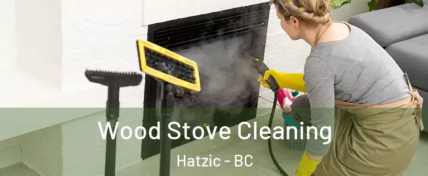  Wood Stove Cleaning Hatzic - BC