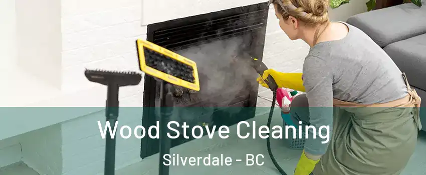 Wood Stove Cleaning Silverdale - BC