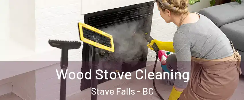  Wood Stove Cleaning Stave Falls - BC