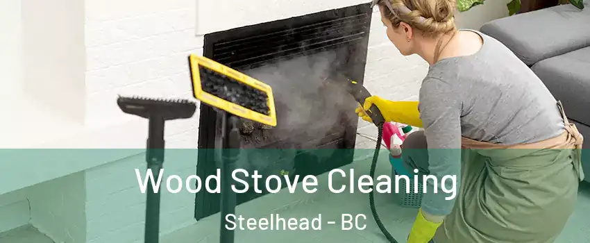  Wood Stove Cleaning Steelhead - BC