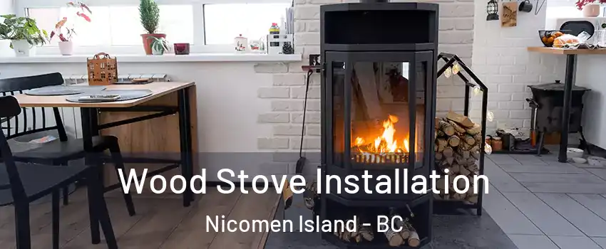  Wood Stove Installation Nicomen Island - BC